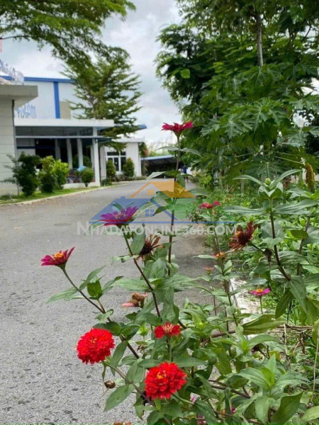 Xt082 nhà xưởng sản xuất cho thuê lâu dài, thu hút nhiều ngành nghề theo qd kcn