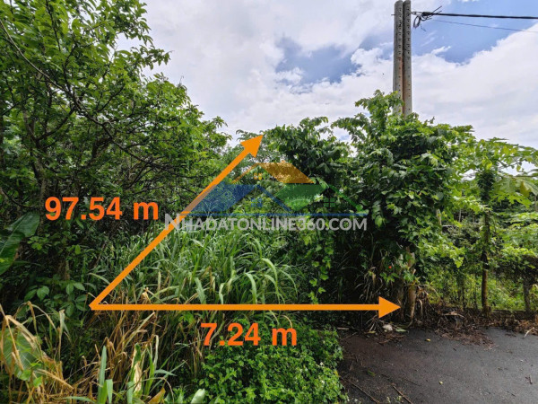 Nhà cấp 4 châu đức brvt, ngân hàng thanh lý đất sẵn thổ, ngang 7m, xe hơi tiép cận, dt 1314.8m2, giá 2.347 tỷ