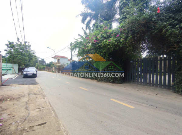 Siêu phẩm cổ đông – sát đại học quốc gia – không mua là...