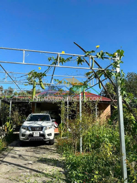 Siêu phẩm q12 – giảm sốc 20 tỷ – 1.100m² full thổ cư – chỉ...