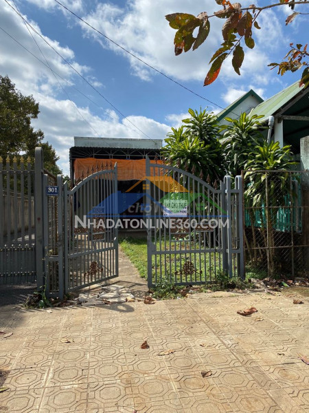 Cho thuê nhà mặt tiền phan đình phùng ,tp bảo lộc hợp kinh...