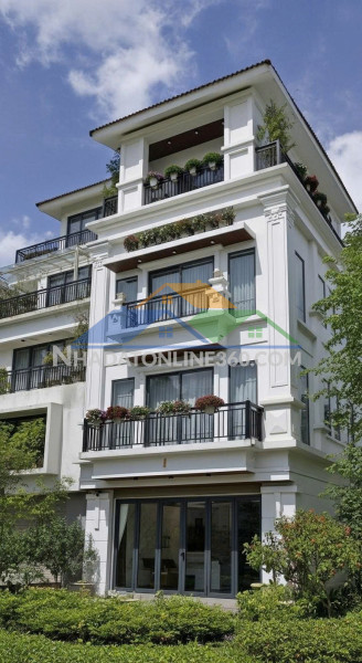 Bán biệt thự liền kề khu d gelexemco lê trọng tấn, hà đông -...