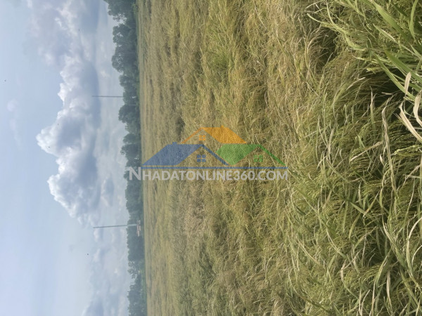 Cần bán gấp đất phước thiện, l.thạnh mỹ, q.9, 4220m2, giá 75 tỷ