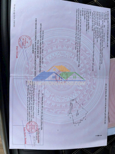 Bán đất ấp núi đất, xã định thành, huyện dầu tiếng, bình dương - hoa hồng cao