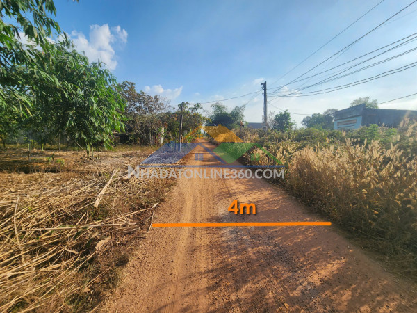 Đất thổ cư minh thạnh dầu tiếng, ngân hàng thanh lý 4213.8m2,  ngang 50m, giá nhỉnh 1 tỷ 719 triệu