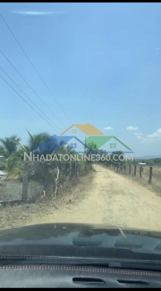 [cơ hội đầu tư] 3.2 hecta đất trang trại tại hồng sơn – quy hoạch chăn nuôi – đường xe tải tận nơi