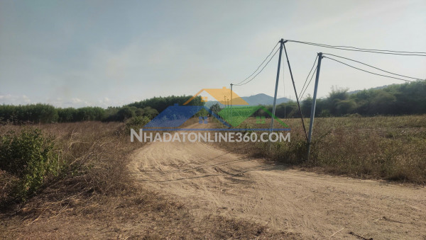 320 triệu có ngay đất vàng tại bình ân gò công đông