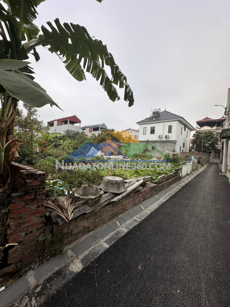 Quỹ đất cuối cùng 45m² chỉ 2,x tỷ tại đường yên, đông anh - ô tô đỗ cửa - đường nhựa đẹp