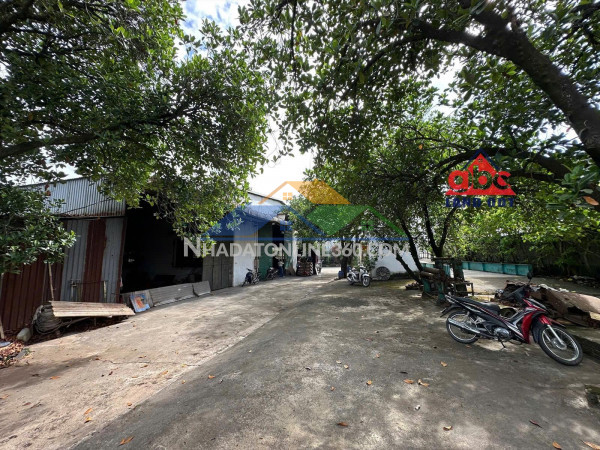 X087 bán nhà xưởng đang có dòng tiền cho thuê cao, ổn định, nx khung thép tiền chế