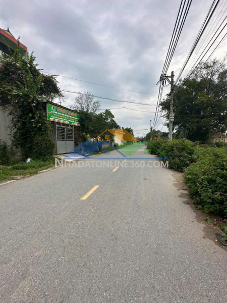 Cho thuê nhà xưởng diện tích lớn tại quất động – thường tín - hn