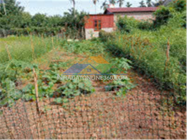 Đất đẹp- giá tốt- sở hữu ngay lô đất thổ cư 66 m2 tại xã phúc thọ-hà nội