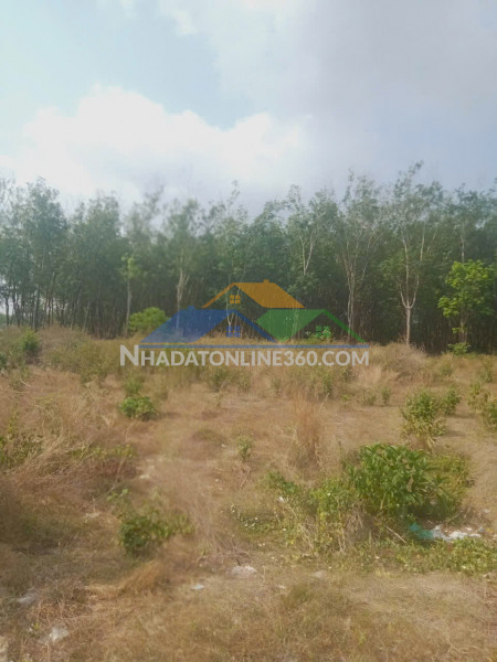 Đất đẹp - giá tốt cần bán nhanh lô đất vị trí đắc địa tại quận dương kinh tp hải phòng