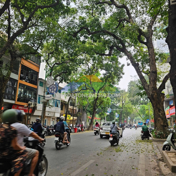 Đặng tất – bán nhà 5 tầng – 50m² – 17.5 tỷ  ba đình