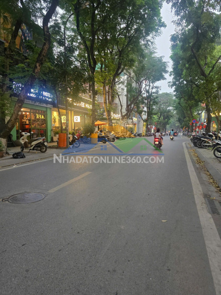 Cần bán nhà phố huỳnh thúc kháng -72 m2 - 7 tầng - mt 16m - giá 56 tỷ