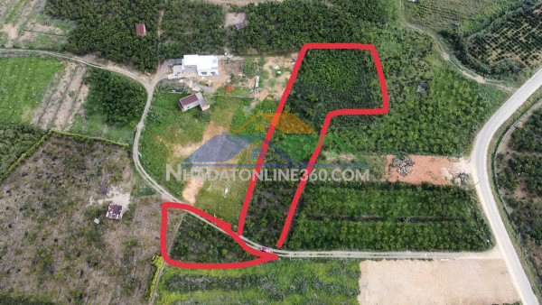 Bán đất view đẹp tại tp. bảo lộc – giá chỉ 1,4 tỷ/sào