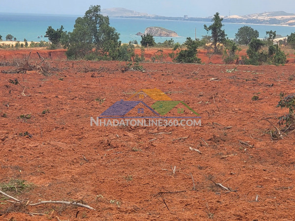 Bán 4 lô đất liền kề – giá chỉ 1 triệu/m² – cơ hội đầu tư hấp dẫn