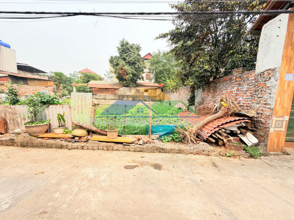 Tài chính chỉ 2 ty nhỏ có ngay 59m đất võng xuyên - phúc thọ - hà nội