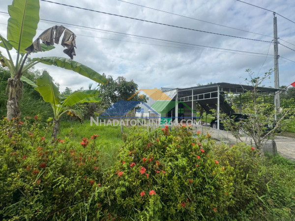 Bán 15000m2 đất nông nghiệp có sẵn nhà phù hợp nghỉ dưỡng  xã khánh an,  u minh, cà mau