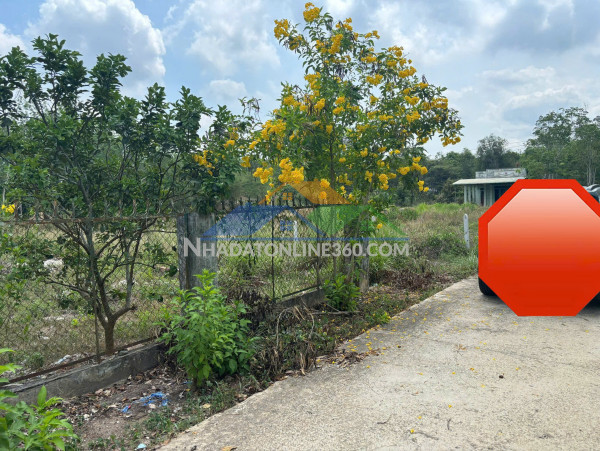 Chính chủ bán gấp đất 920m2 tại chợ định hiệp