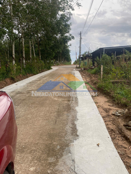 Chính chủ cần bán gấp 542m2 gần trung tâm định hiệp