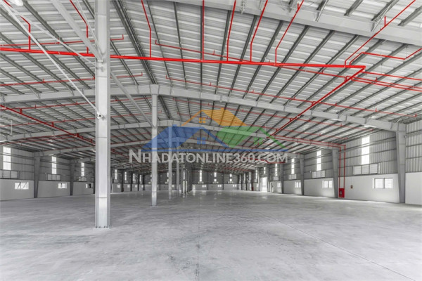 Cho thuê nhà xưởng sản xuất công nghiệp, khung thép tiền chế, bàn giao liền