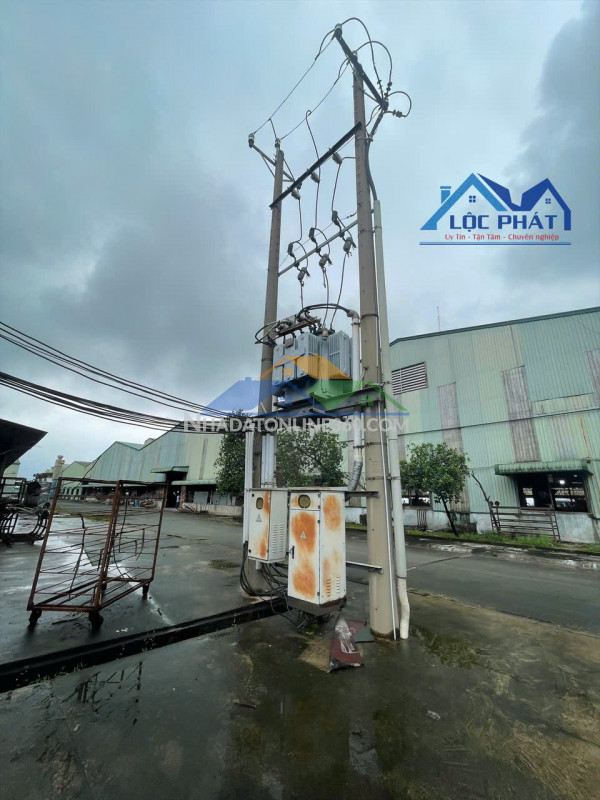 Cần chuyển nhượng GẤP công ty sản xuất gỗ 7,5 ha (75.000 m2)...