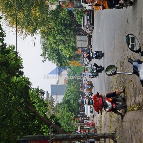 ???? tđc trâu quỳ, gia lâm, hà nội. dt 41m2, đường 13m giá đầu tư. lh 0989894845