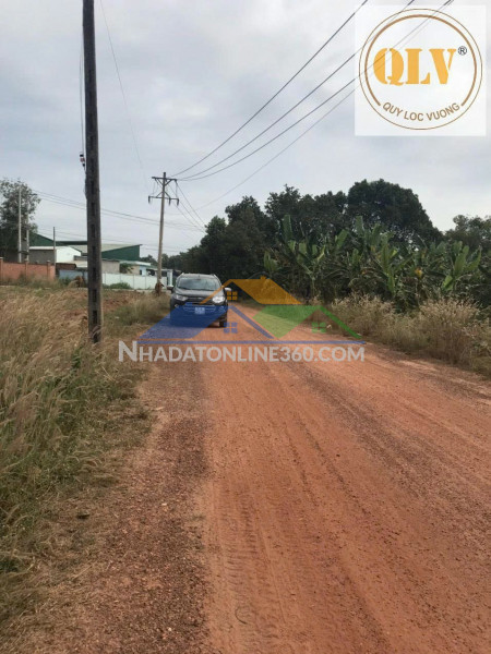 Bán đất tại Phước Hoà, Huyện Phú Giáo, Bình Dương 48.450 m²