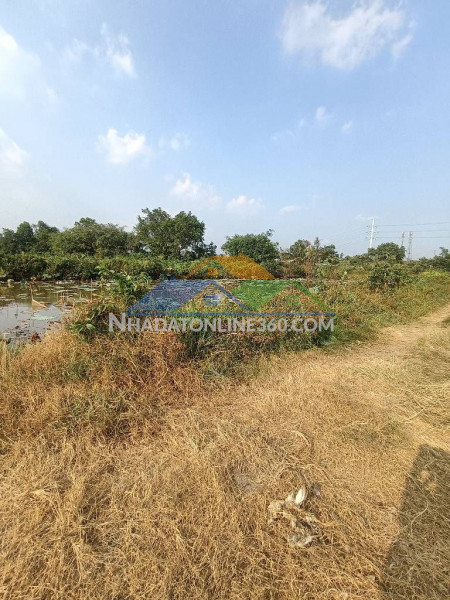 Đất cln- đỗ văn dậy - wien kênh sáng - hóc môn 6600m2 cạnh công viên tương lai 27,5 tỷ