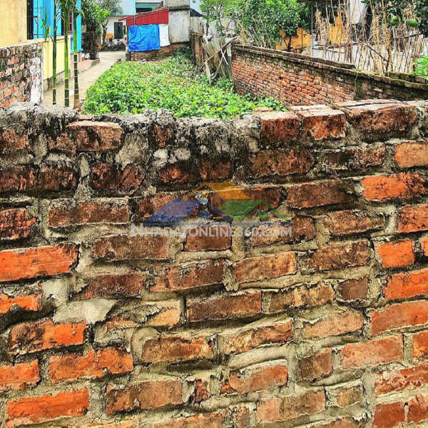 ???? 71m2 trâu quỳ, gia lâm, hà nội. đường ô bàn cờ 5m thông tứ tung. lh 0989894845