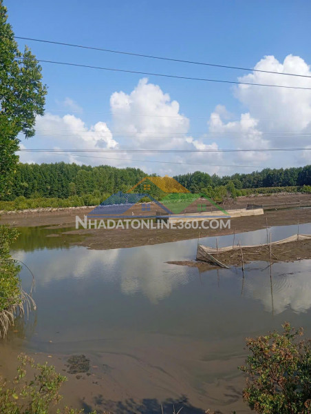 Chính chủ cần bán 2 mảnh đất có vị trí đẹp tại cà mau