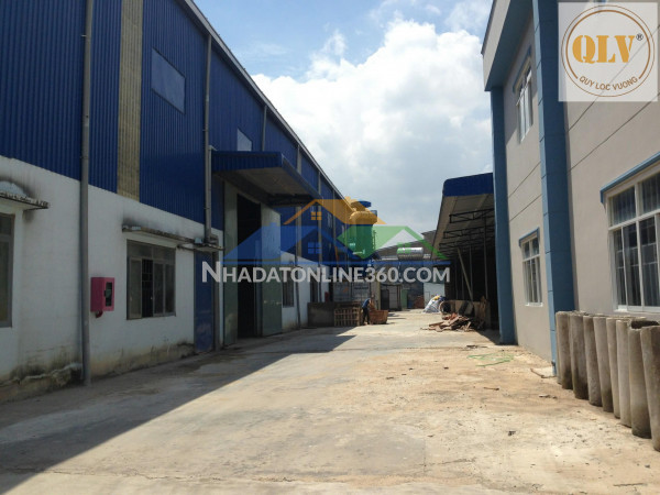 CHO THUÊ NHÀ XƯỞNG – HỘI NGHĨA, TÂN UYÊN, BÌNH DƯƠNG – 55.482m²