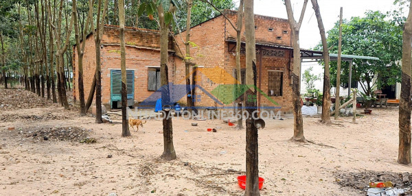 Bán nhà & đất gần tỉnh lộ 15 – an nhơn tây, tp.hcm