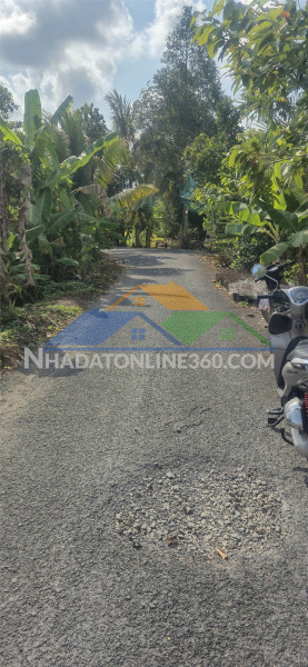 Đất chính chủ mặt tiền đường nhựa ấp phú trí b1, xã phú hữu, châu thành - hậu giang