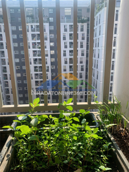 Nhà đẹp–giá tốt–chính chủ cần bán nhà mặt tiền tại đ. hoàng hoa thám, p.tân chính, q.thanh khê, tp đà nẵng