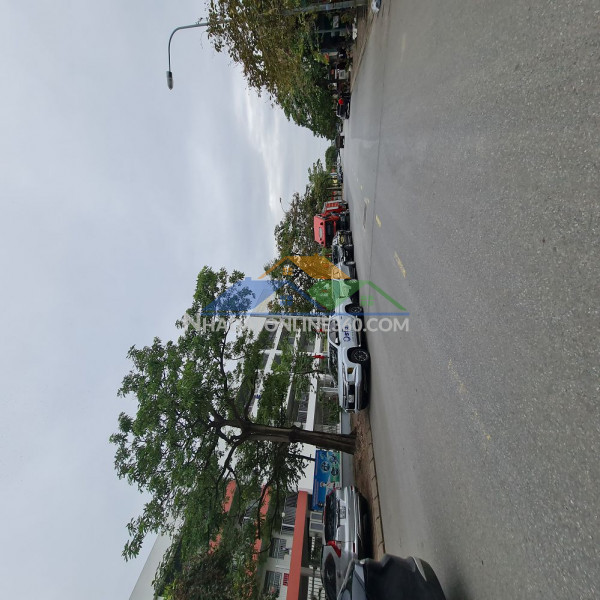 ???? 62m2 tđc trâu quỳ – mt 4m – đường 13m – view vườn hoa – 11 tỷ x ???? ???? ☎️ 0989894845 ???? ☎️