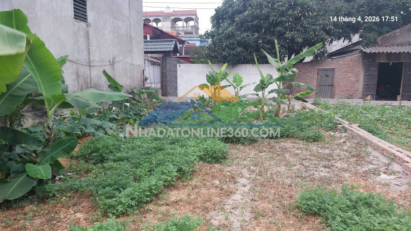 Đất xuân nộn, còn 1 lô, 96m2, mt6.5m, ô tô, 5.3 tỷ, đông anh.