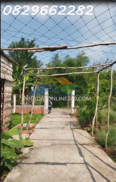 Bán đất thổ cư 864m2 sổ hồng đường nguyễn an ninh tân quy đông, sa đéc, đồng tháp, giá 2.5 tỷ