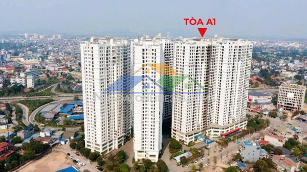 Chuyên gia nước ngoài đang đi thuê- nhà đầu tư đang thu tiền