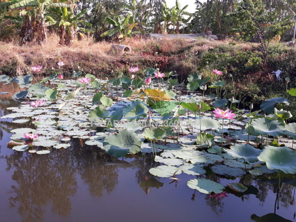 Vị trí đẹp – giá tốt  – chính chủ bán đất đường số 24 đường bời lời, phường bình minh, tây ninh