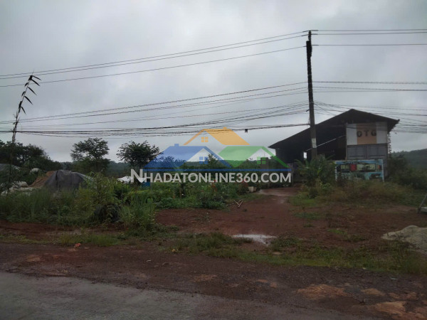 Đất đẹp – giá tốt–chính chủ cần bán đất vườn thôn quảng bình, xã nghĩa thắng, đăk r lấp , đăk nông