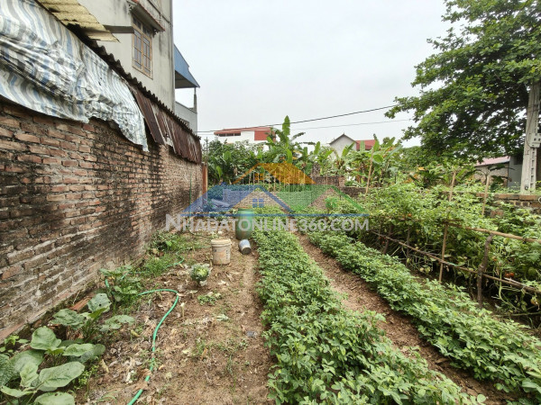 Đất thụy lâm 90m2, mt5m, 6.5 tỷ, ô tô, đông anh