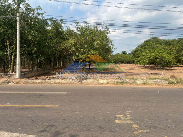 Bán đất mt nhựa xuân hiệp-tân tiến, xuân lộc. đồng nai. giá 3.25ty. lh 0984488048.