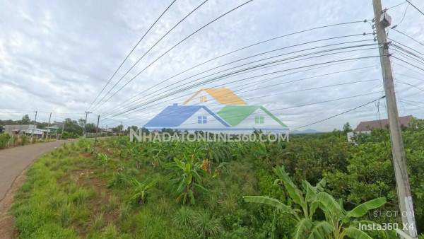 Bán lô đất nằm sau sân bay long thành, đồng nai.