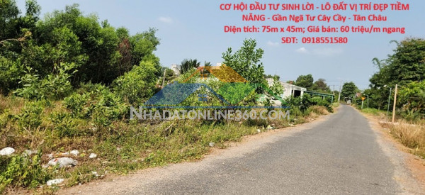 Cơ hội đầu tư sinh lời - lô đất vị trí đẹp tiềm năng - gần ngã tư cây cầy - tân châu