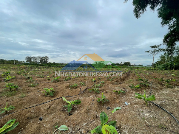 Giá tốt - chính chủ cần bán nhanh nhà xưởng đang hoạt động, góc 2 mặt tiền tại tp trà vinh, tỉnh trà vinh