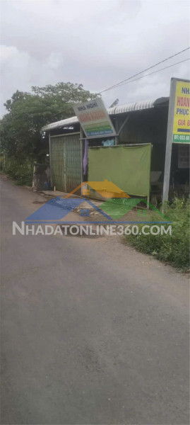 Siêu phẩm đầu tư - đất vườn 1ha - 2.000 cây mai - lợi nhuận...