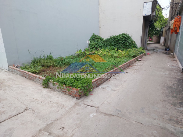 ???? đón sóng vành đai 4 – đất lô góc 49.7m đức thượng