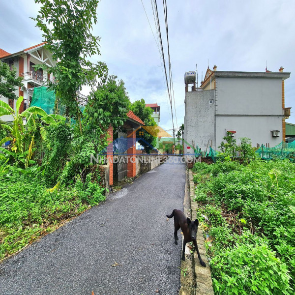 Bán đất 60m2 thuận an, hà nội, mt 4m ngõ rộng gần trục chính ???? 0989894845