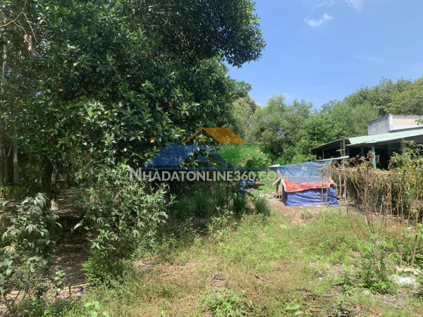 Chính chủ bán đất 554m² – long nguyên (hồ chí minh mới) – giá tốt